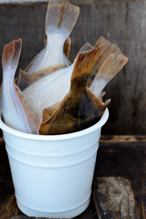 fresh flounder in a white bucket up tails on a wooden backgroundの写真素材