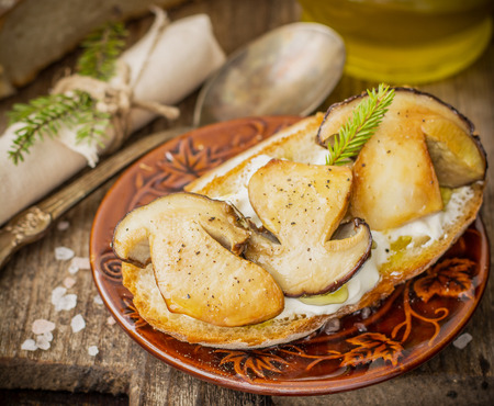 Bruschetta with fried ceps, garlic. Selective focusの写真素材