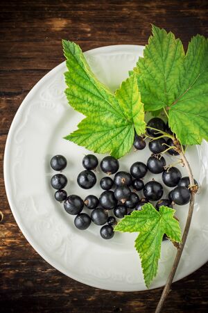 The white ceramic plate with a sprig of black currant leaves and ripe berries. View from above. selective Focusの写真素材