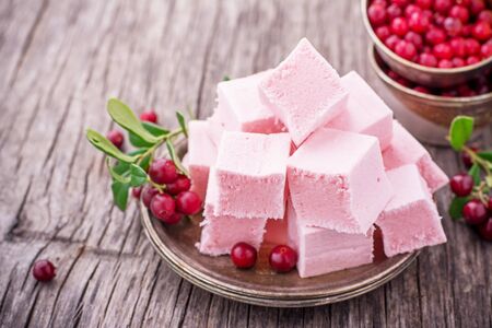 Cranberry sweet paste made from whipped egg whites with sugar and berry puree on a metal plate with ripe berries. selective Focusの写真素材