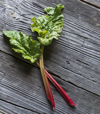 A pair of branches garden rhubarb on a dark wooden background.の写真素材