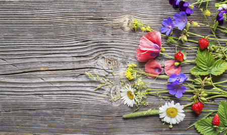 Summer Still Life flowers background. Various summer field wild flowers and forest fragrant strawberries on a structured gray wooden background.の写真素材