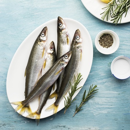 Fresh small sea fish smelt, sardine on a simple background with salt, rosemary and lemon slices. Top...