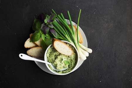 Green sauce based on fresh garden seasonal herbs and spices, spring onion and variegated basil. Top Viewの写真素材