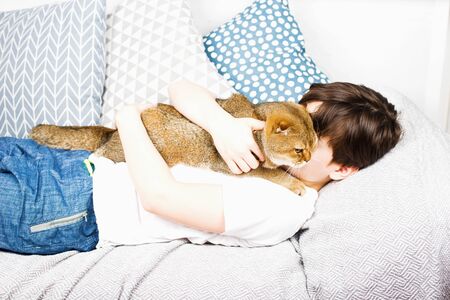 Boy and cat. Scottish fold cat in the arms of a boy. The concept of a pet in family education and a loving home. Horizontal.の写真素材