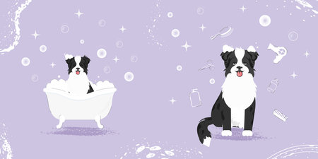 Set of two illustrations. A small dog sitting and grooming tools around it. Concept of a grooming salon. Cartoon dog sitting in a bubble bath.のイラスト素材