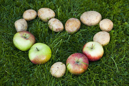 Heart of apples and potatoes on a green grassの写真素材