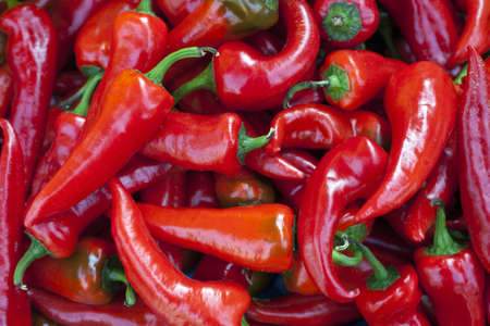 Fresh red hot chilli peppersの写真素材
