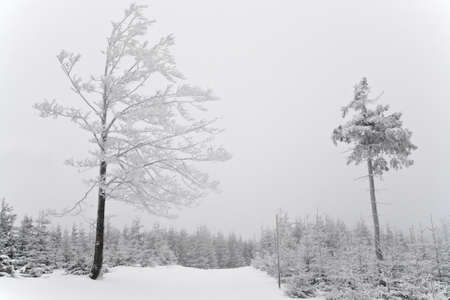 Beautiful winter landscape taken in polish Beskid mountain, Szyndzielnia and Klimczokの写真素材