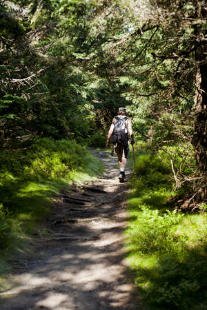 Tourist walking through mountain path photo taken in Beskidy mountains - Rysianka, during summer.のeditorial素材