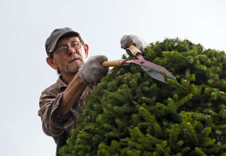 Adult man, gardener during work in a garden.