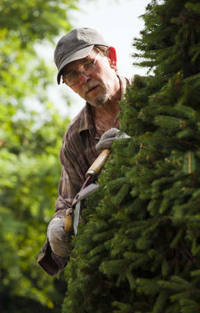 Adult man, gardener during work in a garden.