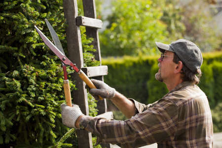 Adult man, gardener during work in a garden.