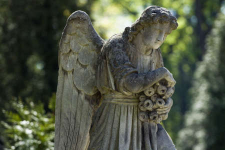 Old cemetery angel sculpture made of stoneの写真素材