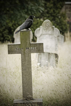 Old cemetery angel sculpture made of stoneの写真素材