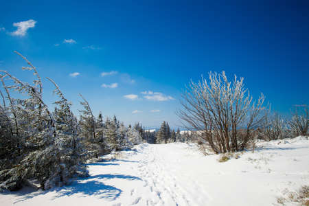 Beautiful mountain landscape taken in polish Beskidy mountain during sunny day.の写真素材