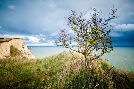 White cliffs of Dover landscape photoの写真素材