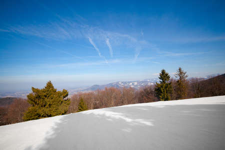 Beautiful winter sunny photo taken in Beskidy mountains - Czantoria or at Czech side - Czantoryja. の写真素材