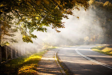 Autumn landscape in woods, in polish Beskidy mountains, Jaworzyna Krynickaの写真素材