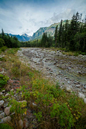 Beautiful panorama in Tatry mountains, Dolina Bialej Wody