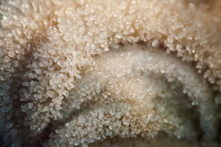 Macro photography of winter hoarfrost and waterdropsの写真素材