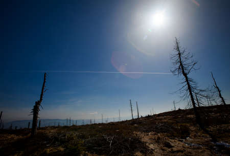 Beautiful autumn sunny photo taken in Beskidy mountains - Barania Gora. 