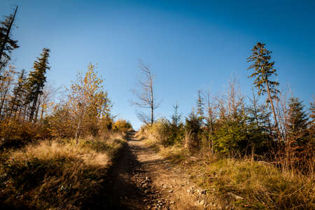 Warm autumn landscape photo taken in woods, in polish Beskidy mountains, Karkoszczonkaの写真素材