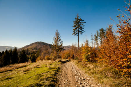 Warm autumn landscape photo taken in woods, in polish Beskidy mountains, Karkoszczonkaの写真素材