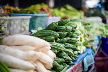 Fresh bitter cucumbers. Traditional thai market.の写真素材