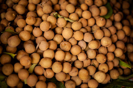 Fresh longan fruits. Traditional thai market.の写真素材
