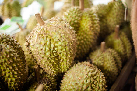 Selection of fresh durian fruits. Traditional thai market.