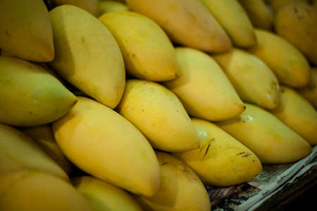 Selection of fresh mango fruits. Traditional cambodian market.