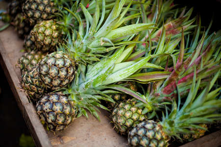 Selection of fresh pineapple fruits. Traditional thai market.の写真素材