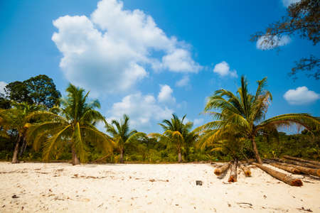 Summer on tropical island Koh Rong in  Cambodia. Landscape of south east Asia.の写真素材