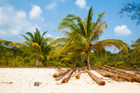 Summer on tropical island Koh Rong in  Cambodia. Landscape of south east Asia.の写真素材