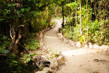 Summer view on tropical island Koh Rong in Cambodia. Landscape of south east Asia.の写真素材