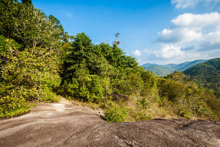 Jungle trekking on tropical island Koh Phangan in Thailand. Nature of south east asia.の写真素材