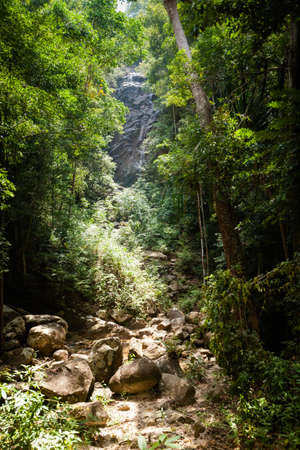 Jungle trekking on tropical island Koh Phangan in Thailand. Phaeng waterfall.の写真素材