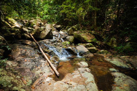 Jungle trekking on tropical island Koh Phangan in Thailand. Phaeng waterfall.