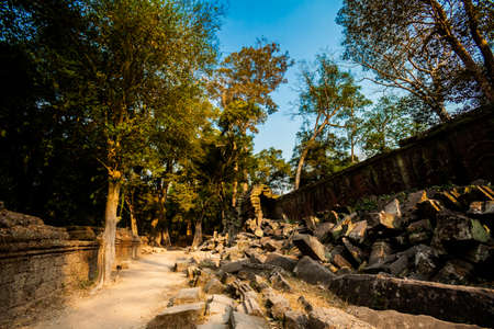 Architecture of old buddhist Ta Prohm temple in Angkor Archeological park . Monument of Cambodia - Siem Reap. Tomb Rider movie scenery.の写真素材
