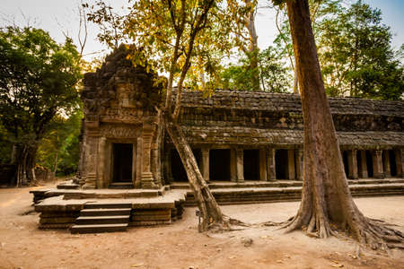 Architecture of old buddhist Ta Prohm temple in Angkor Archeological park . Monument of Cambodia - Siem Reap. Tomb Rider movie scenery.の写真素材