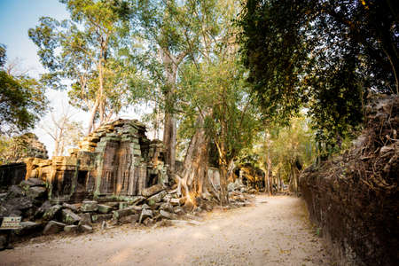 Architecture of old buddhist Ta Prohm temple in Angkor Archeological park . Monument of Cambodia -...