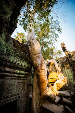 Architecture of old buddhist Ta Prohm temple in Angkor Archeological park . Monument of Cambodia - Siem Reap. Tomb Rider movie scenery.の写真素材