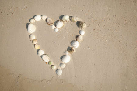 Beautiful Thailand - heart of mussels on a beautiful golden sand beachの写真素材