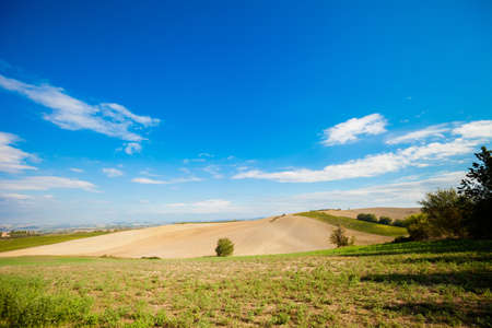 Colorful panoramic view in Tuscany - vineyards close to Montalcino, Italy.の写真素材