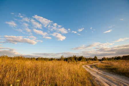 Beautiful panorama in Poland - sunny valley in Dabrowa Gorniczaの写真素材