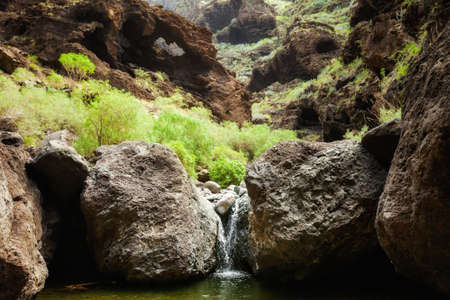 Mountain waterfall on tropical island Tenerife, Canary in Spain. Gorge trekking view from Masca Valley.の写真素材