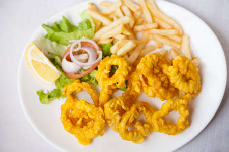 Fresh deepfried roman style squid served with fries and salad in local restaurant in Garachico on tropical island Tenerife, Canary in Spain. Spanish food specialities.の写真素材