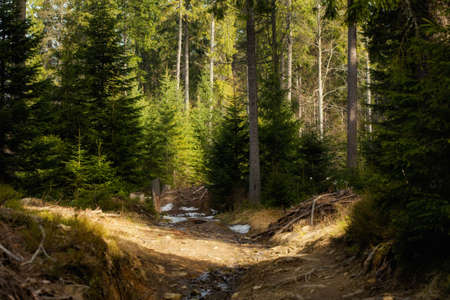 Beautiful scenic landscape in Beskid mountains. Rysianka with a little bit of snow in the beginning...