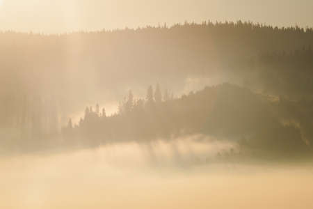 Beautiful summer sunrise fog on the way to Tatra mountains. Colorful sunny photo.